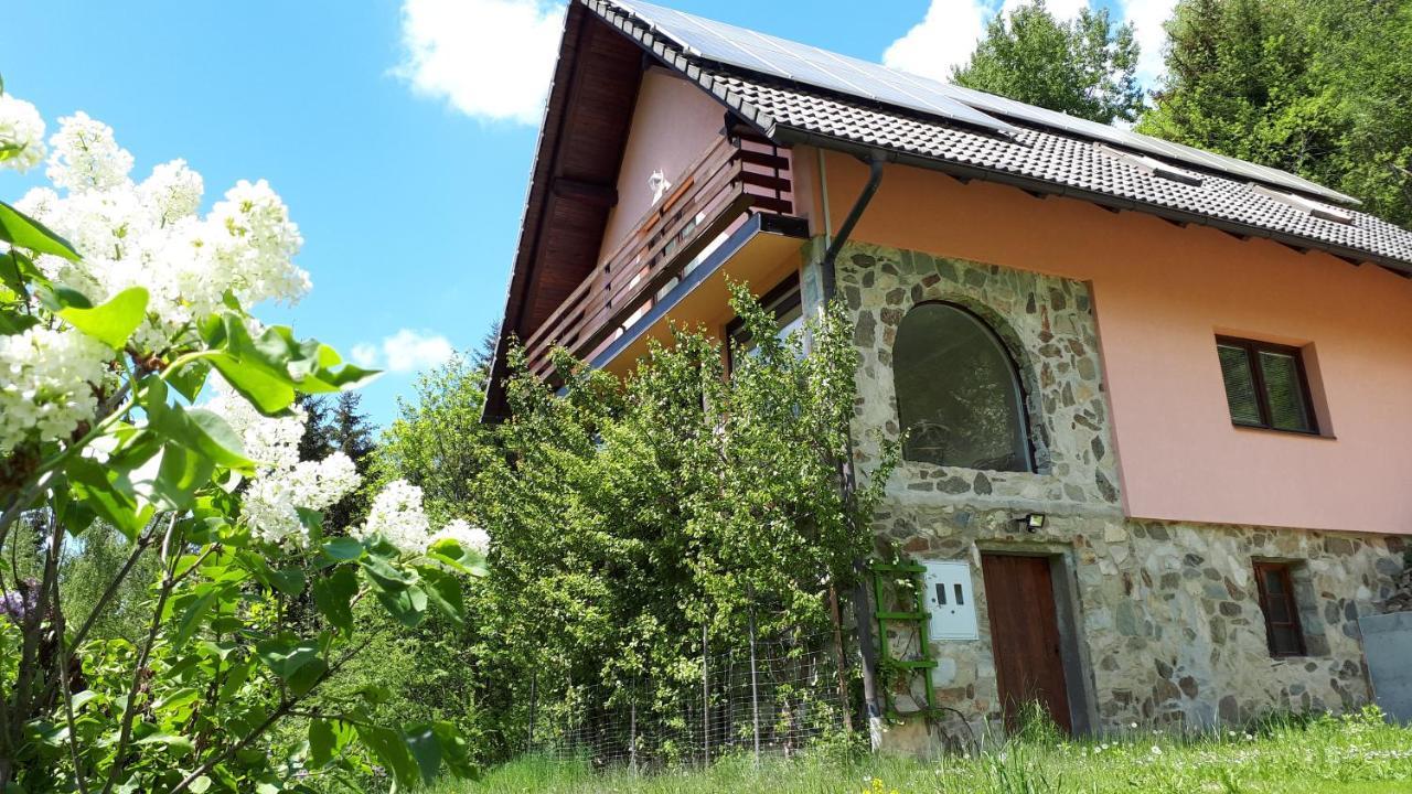 Country House & Spa Mislinja Екстер'єр фото