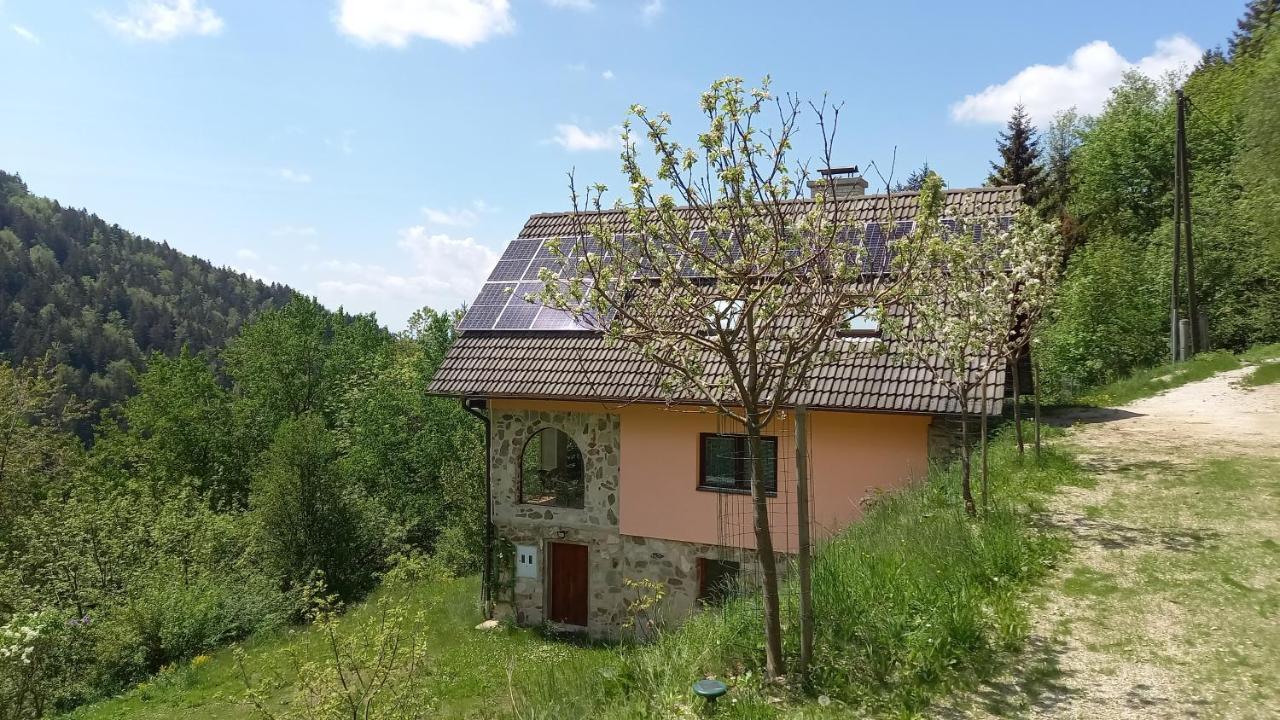 Country House & Spa Mislinja Екстер'єр фото
