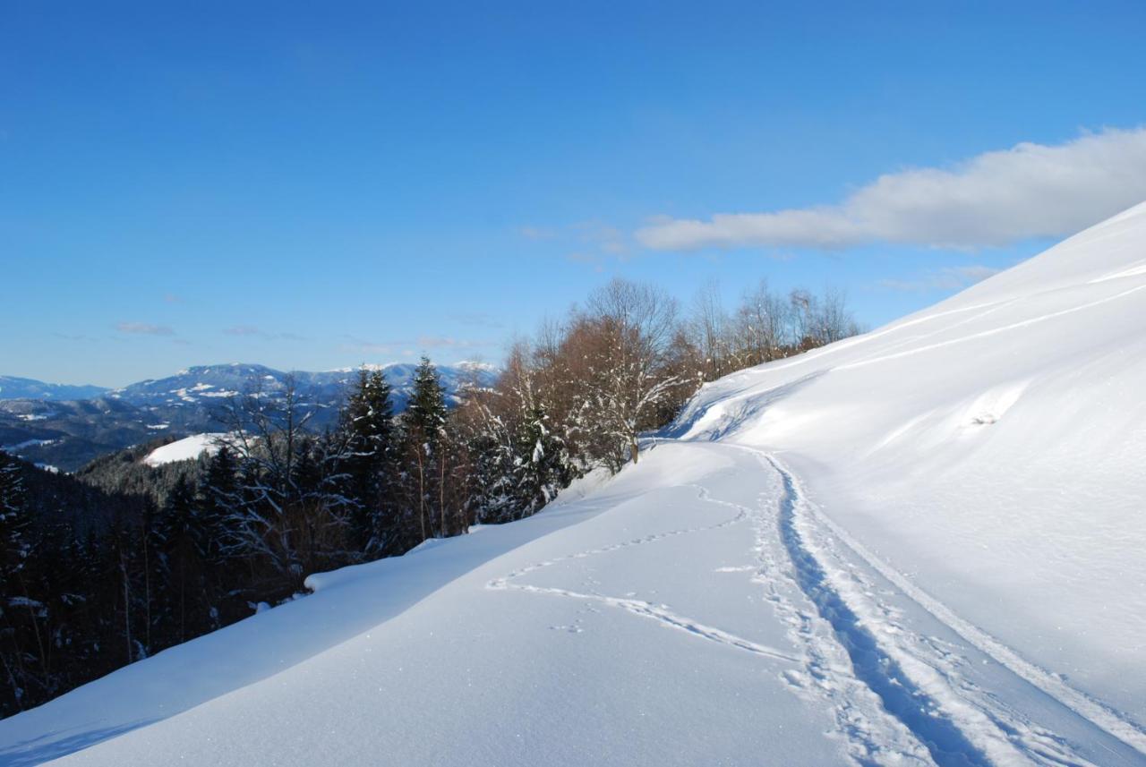 Country House & Spa Mislinja Екстер'єр фото